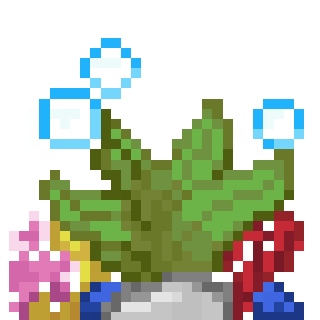 Kelp
